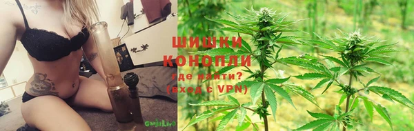 бошки Елабуга