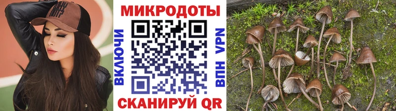 хочу наркоту  Карабулак  Псилоцибиновые грибы Psilocybe 