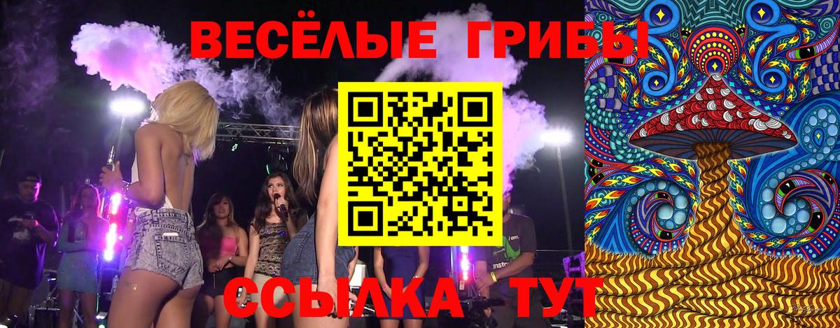 Галлюциногенные грибы MAGIC MUSHROOMS  Галлюциногенные грибы Magic Shrooms  Карабулак  магазин    Вход с VPN 